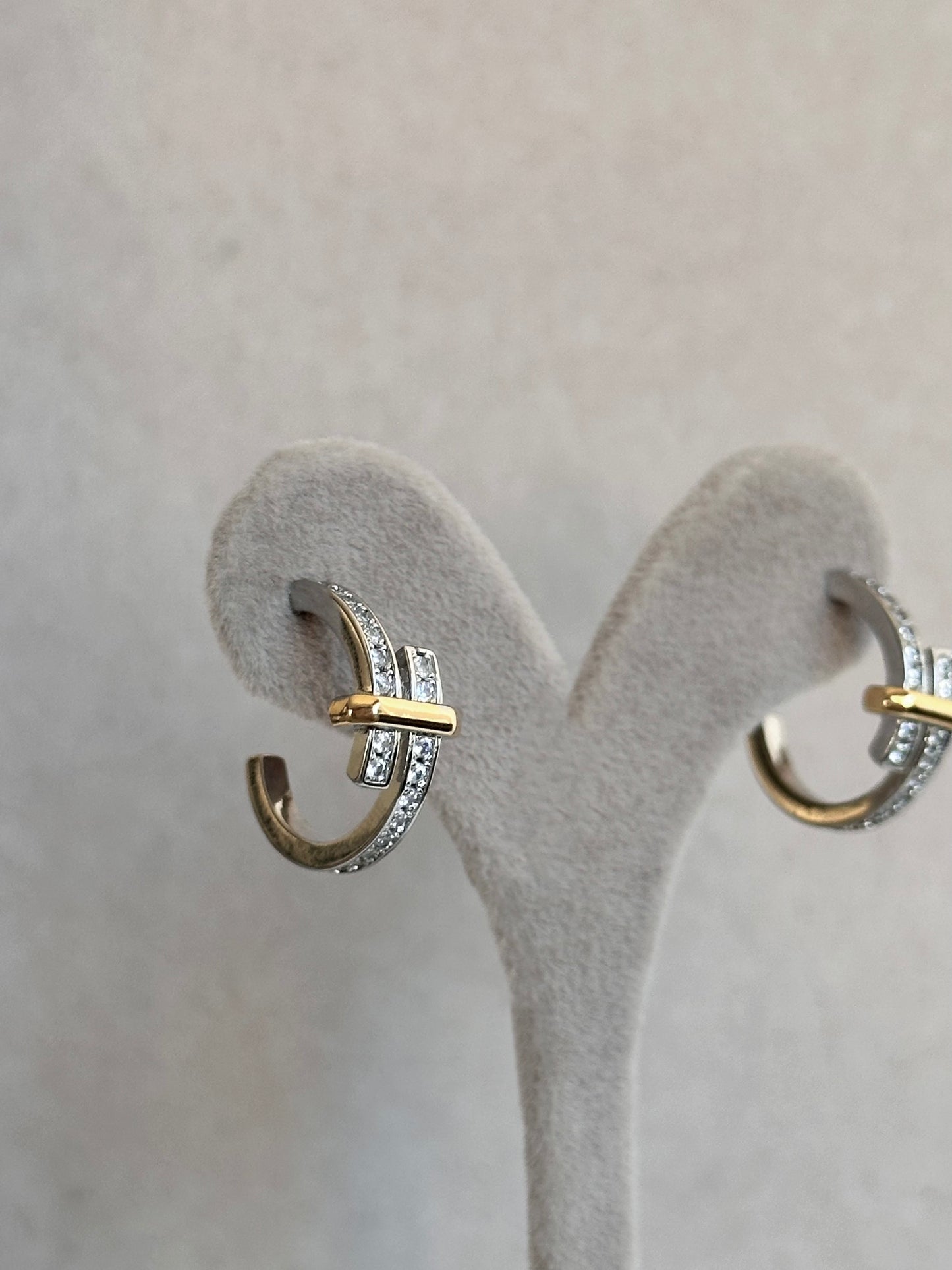 Ohrringe RING